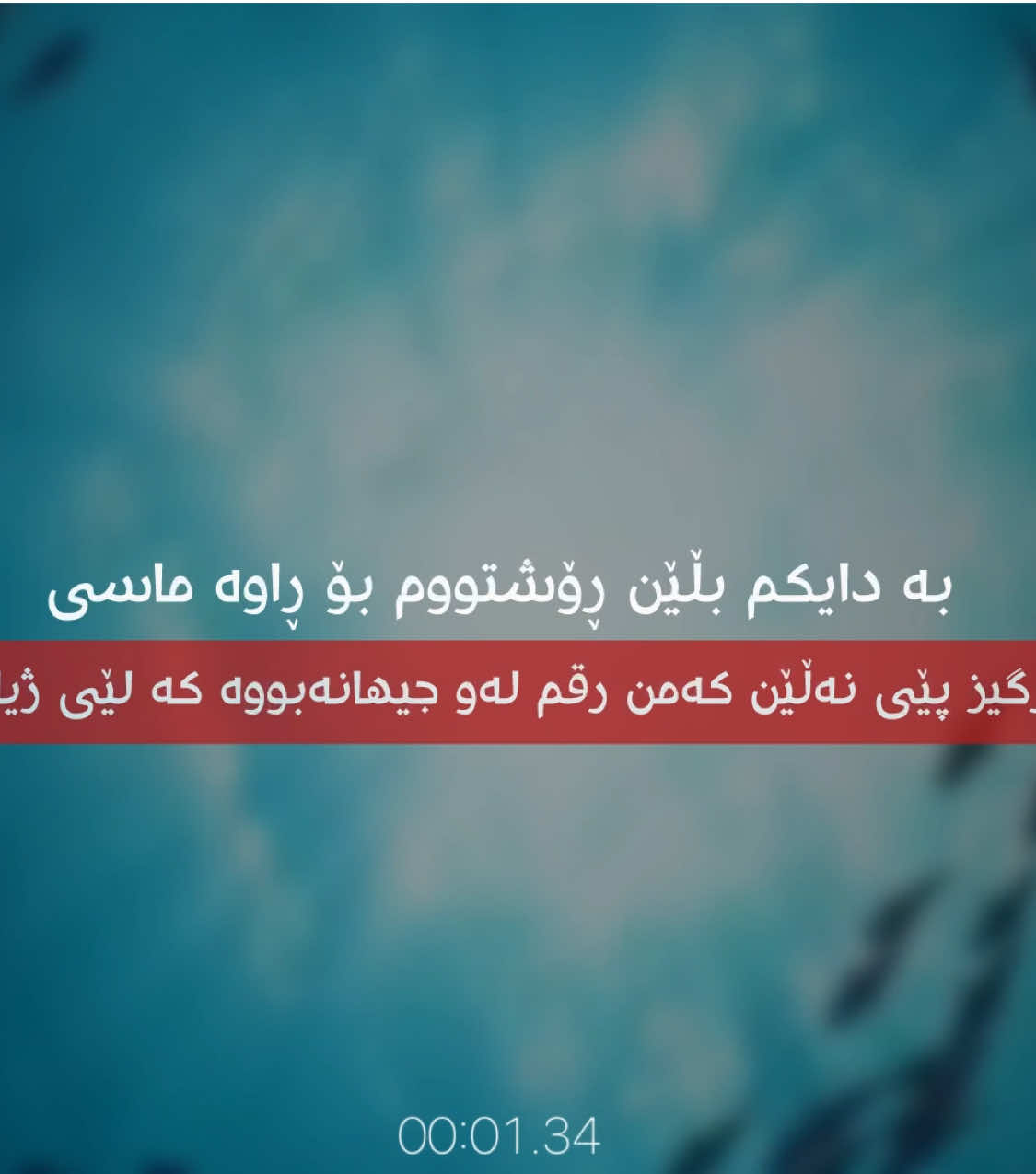 بە دایکم بڵێن🖤#alone_525 #foryou #alonee_525 #foryoupage 