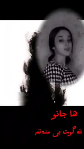 malaf post🤣👌