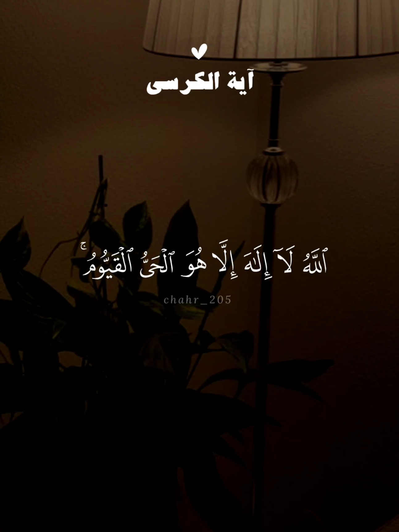آية الكرسي و سورة الإخلاص و سورة الفلق و سورة الناس 🤍 #quran #القرآن #quran_alkarim #القران_الكريم #qu_ran_n #qu_ran_n؛؛قرآن #quran_114st #تلاوة_خاشعة 