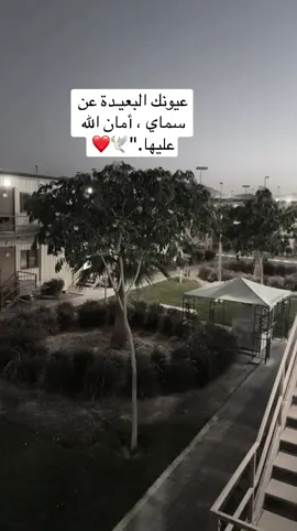 #عيونك البعيـدة عن  سماي  ، أمان الله عليها.