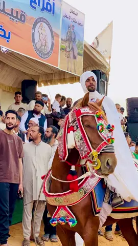 شهداء تقريم من افراح عايلة الجعافره ❤️✌️#عقد_شهداء_المسيد #ترهونه❤🔥 