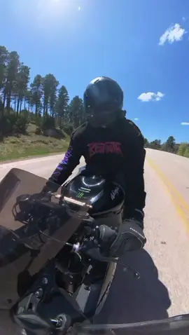 like wtf... I was just trying to enjoy the twisties