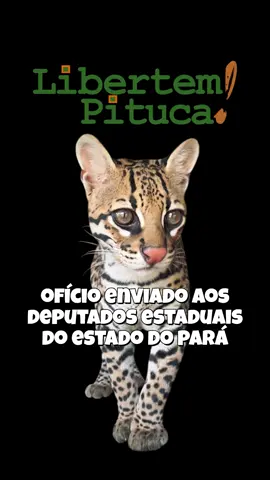 lista de e-mails dos deputados do Pará  dep.adrianocoelho@alepa.pa.gov.br;dep.anacunha@alepa.pa.gov.br; gabinete@andreiaxarao.com; angeloferrari@angeloferraripa.com; dep.antoniotonheiro@alepa.pa.gov.br; dep.aveiltonsouza@alepa.pa.gov.br; dep.ivanaldobraz@gmail.com; dep.bordalo@alepa.pa.gov.br; dep.chamonzinho@alepa.pa.gov.br; dep.chicao@alepa.pa.gov.br; dep.cilenecouto@alepa.pa.gov.br; alepa.del.niltonneves@gmail.com; dep.dianabelo@alepa.pa.gov.br; dep.dirceutencaten@alepa.pa.gov.br; dep.eliel@alepa.pa.gov.br; gab.eraldo15000@gmail.com; dep.fabiofigueiras@alepa.pa.gov.br; dep.fabiofreitas@alepa.pa.gov.br; dep.gustavosefer@alepa.pa.gov.br; deputadoiranlima@gmail.com; dep.joaopingarilho@alepa.pa.gov.br; contato@luogawa.com; dep.luthrebelo@alepa.pa.gov.br; dep.mariadocarmo@alepa.pa.gov.br; gabinete.carmona@yahoo.com.br; gabinetepaulatitan@gmail.com; dep.thiagoaraujo@alepa.pa.gov.br; dep.zecapirao@alepa.pa.gov.br