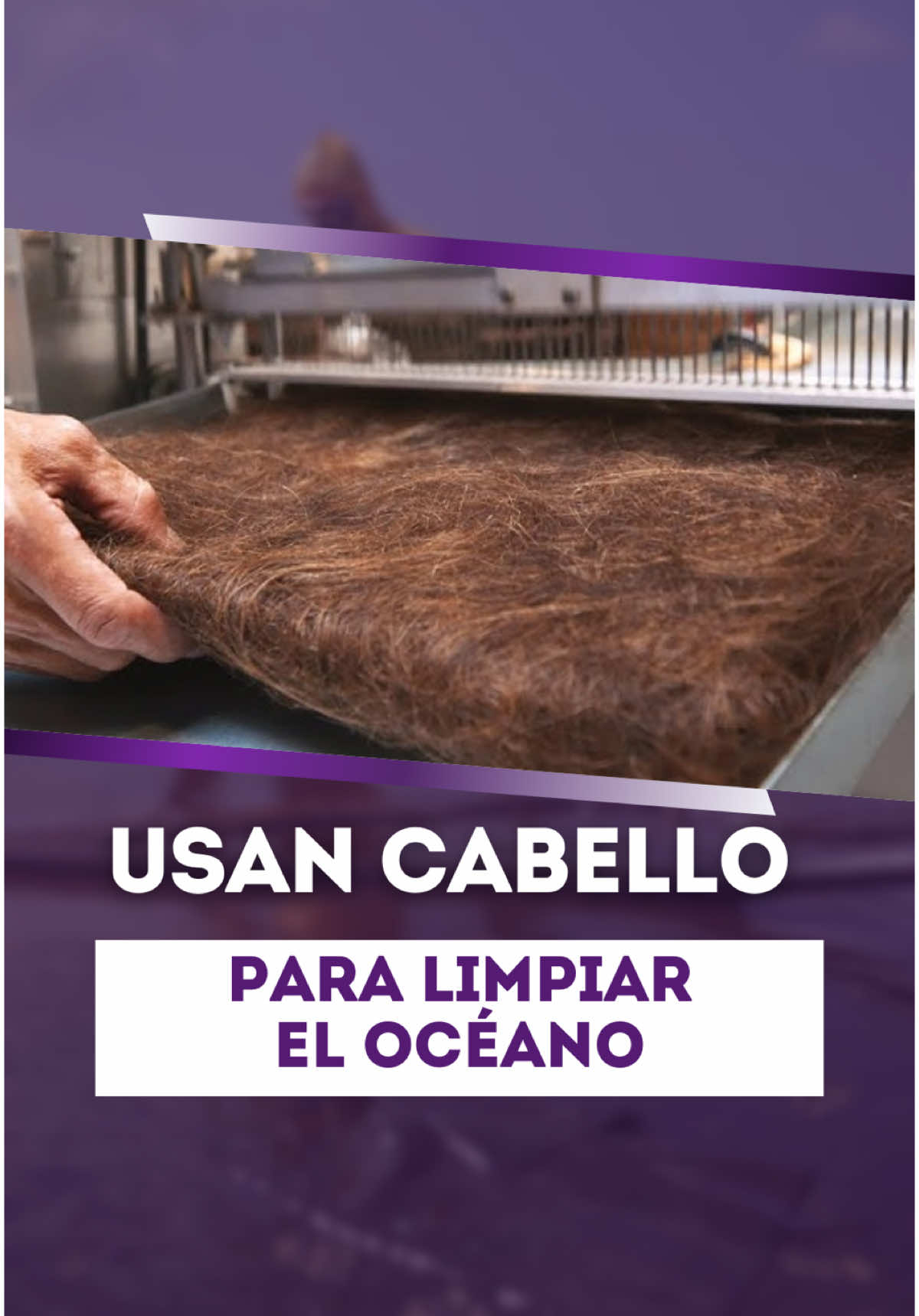 Usan cabello para limpiar el océano  #aceite #petroleo #derramamiento #contaminacion #cabello #tecnologia #adaptateoapartate #diegoquiroz 