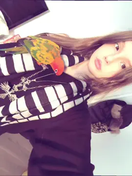 Ashley’s Bird ( hitler ) 