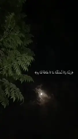 #ايات #قرانية_قصيرة #موسيقى_هادئه #حوقلوا_فوالله_ما_فكت_العقد_بمثلها💎🧡✨ #موصل_العراق_ #بغداد_بصرة_موصل_الكويت_الخليج_دبي_ #fy #fy #fy 