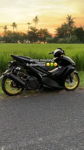 #aerox155#foryoupage 