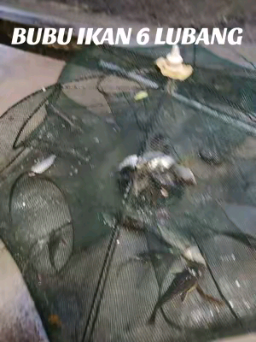 BUBU IKAN 6,8,10 LUBANG UNTUK SUNGAI,TASIK DAN LOMBONG. SESUAI UNTUK SEMUA LAPISAN UMUR. SELAMAT MENCUBA. #newbie #newbieaffiliate #hook #fy #fyp #foryoupage #fypシ゚viral🖤tiktok #viral #masukberandafyp #fyppppppppppppppppppppppp #sahabatshamsul 