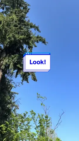 Oh? #cursed #toy #wicked 