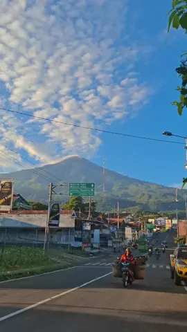 bejirr #morningperson #mornin #4u #atosperson#pacetmojokerto 