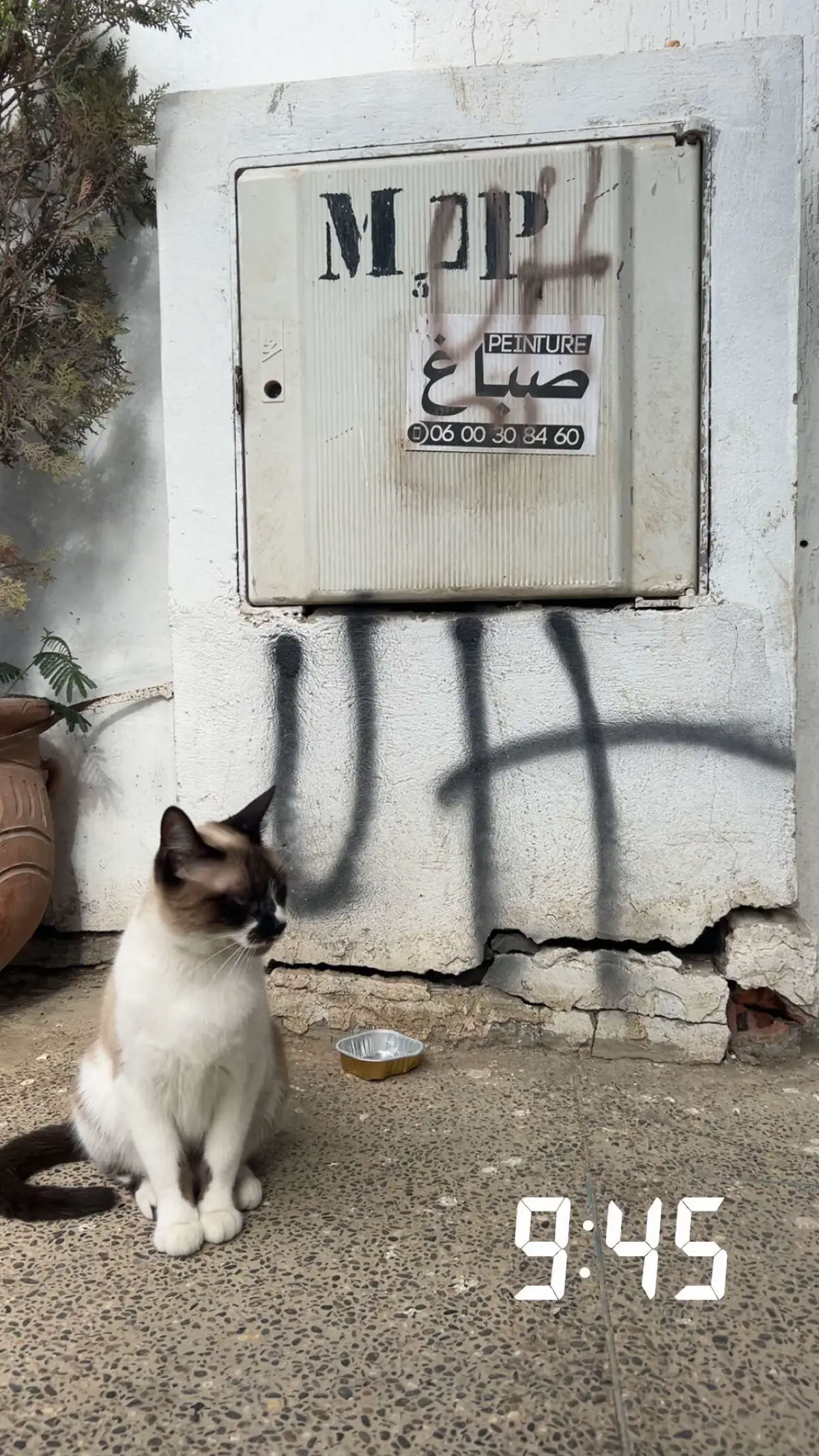 #fyp #ninho #bro #morocco #car #morocco🇲🇦 #tanger_city #tanger #🇲🇦 #Summer #jetski #fr #sun #fr #fyp #fyp #football #mood #moon #cat 