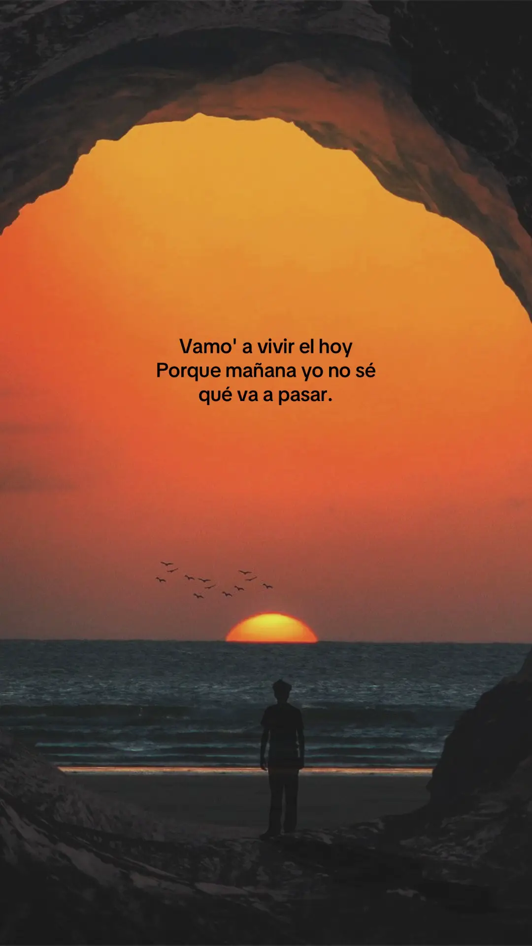 #fyp #paratii #viral_video #bad #badbunnypr 