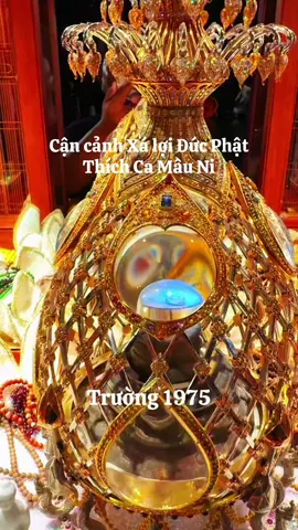 Tận mất chứng kiến cận ảnh Xá lợi Phật Thích Ca Mâu Ni đặt trong tháp mạ vàng trên đỉnh núi Bà Đen. May mắn cho Phật Tử nhìn thấy xá lợi Phật. A di đà phật#vesak2025 #nuibadentayninh #xaloiducphat #truong1975 #xaloiphatthichcamauni #xaloiphatnuibaden 
