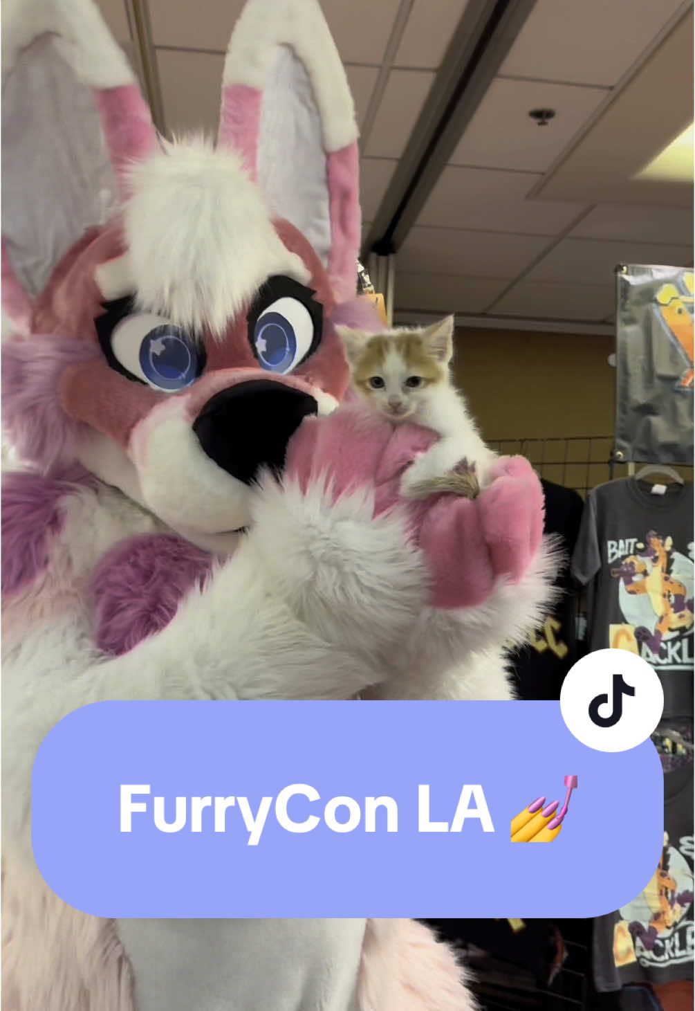 Sitting in the facility I worked for for the disabled cats to live in, listening to medevial trap music, preparing for the weekend ahead at FurryCon as a special guest… I think to myself… “did I manifest a fever dream into reality?” 😶 #catsoftiktok #kittensoftiktok #furrycon #furryconvention #LA #manifest #wonky 