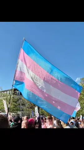 ☮️☮️ #transrightsarehumanrights #transrights #hull #protest #equality #lovewins 