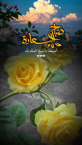 #دعاء_الصباح #صباح_الخير #اصبحنا_واصبح_الملك_لله #اللهم_صباحا_مبشرا_بكل_خير #صباحكم_معطر_بذكر_الله #صباح #يوم #الاحد #foreyoupage #fup #fupシ #foryou #تصاميم_ورد🌸 