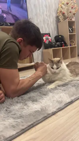Cat strong beats weak man💪🏻 #fyp #foryou #catsoftiktok #funnycat #armwrestling #catvsman #catchallenge #cattok #crazycat #strongcat #catflex #funnyvideo #viralvideo #catfight #PetsOfTikTok #meowpower #cutecat #catsrule #pawsup #catfun #catmemes #tiktokcat #catboss #catstrength #comedycat #catduel #manvscat #funnychallenge #catsdoingthings #catcontent