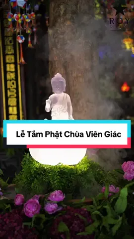 Nghi Thức Tắm Phật - Chùa Viên Giác #PhatGiaoVietNam #lephatdan #trending #xuhuong #chuaviengiac #letamphat 