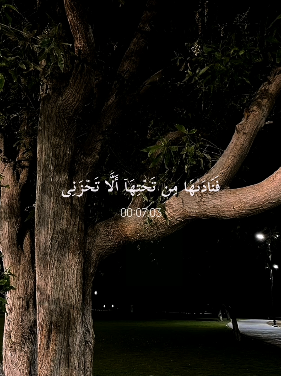 ﷽﴿واذكر ربك إذا نسيت﴾ 🤍  سبحان الله   الحمدلله   لا إله إلا الله   الله أكبر  سبحان الله وبحمده   سبحان الله العظيم #سورة_مريم #مشاري_العفاسي #فناداها_من_تحتها_الّا_تحزني #واذكر_ربك_إذا_نسيت #اسلاميات #القرآن_الكريم #قرآن_بصوت_جميل #سبحوا  #اجر_لي_ولكم  #ايات_قرآنية #آيات_بينات #تدبروا_الايات🤍 #استغفروا #صلوا_على_النبي♥ #لا_إله_الا_انت_سبحانك_اني_من_الظالمين♡ #آلاءشريف #قرآن  #سبحان_الله_وبحمده_سبحان_الله_العظيم#🖤آلاء⛓️  #Quran #Quran #quran_alkarim #ayat_bainat #quran 