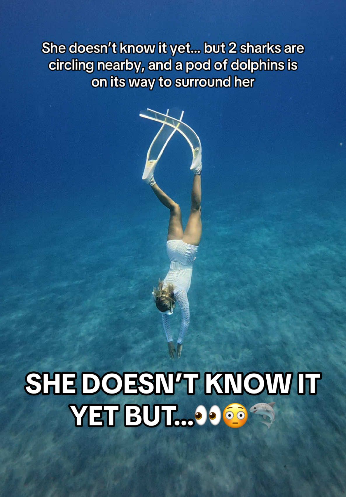 The full story, including how I actually found out the sharks were there, coming tomorrow👀🦈🐬 #hawaii #hawaiitrip #hawaiibeach #travelblogger #ocean #sharks #dolphins #oceanlover #oceananimals 