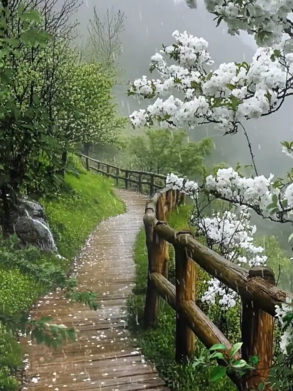 hujan #suasanahujan #suarahujan #naturevibes #alamyangindah 