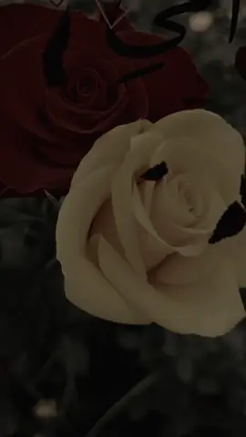 #امي #صباح_الخير 