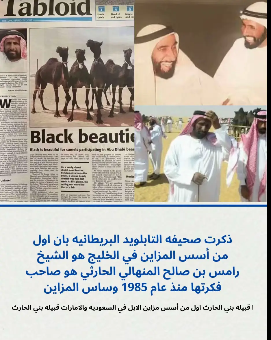 #المناهيل_صلب_بالحارث #المناهيل_الحمايا #حمايه_البل #501 
