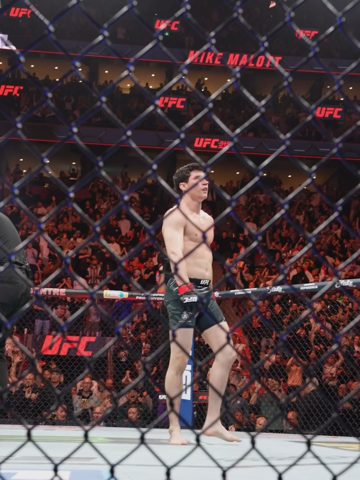 PROPER MIKE MALOTT OH MY!!!!!!!!! 😮‍💨 #UFC #mma #mikemalott
