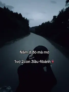 Nằm ở đó mà mơ 👤#quocvy_07 