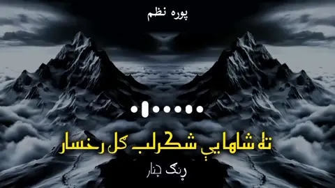 ته شاهایې شکرلب 💖💕🌹 @بې پروا👒  . . ####rungcheainer1  ####bayparwa6 