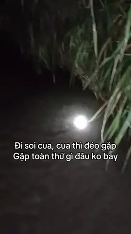 Đã nản còn nản hơn😒