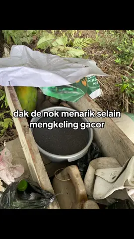 benar kee #belitong#timah#271t#belitongpunyacerita😎😎😎#fypシ゚  