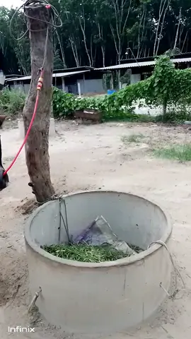 #ลังสาดสุดทางรักสิงห์เขาค่าย #ค่ายโคสิงเขาค่าย  #พระแสงสุราษฎร์ธานี 