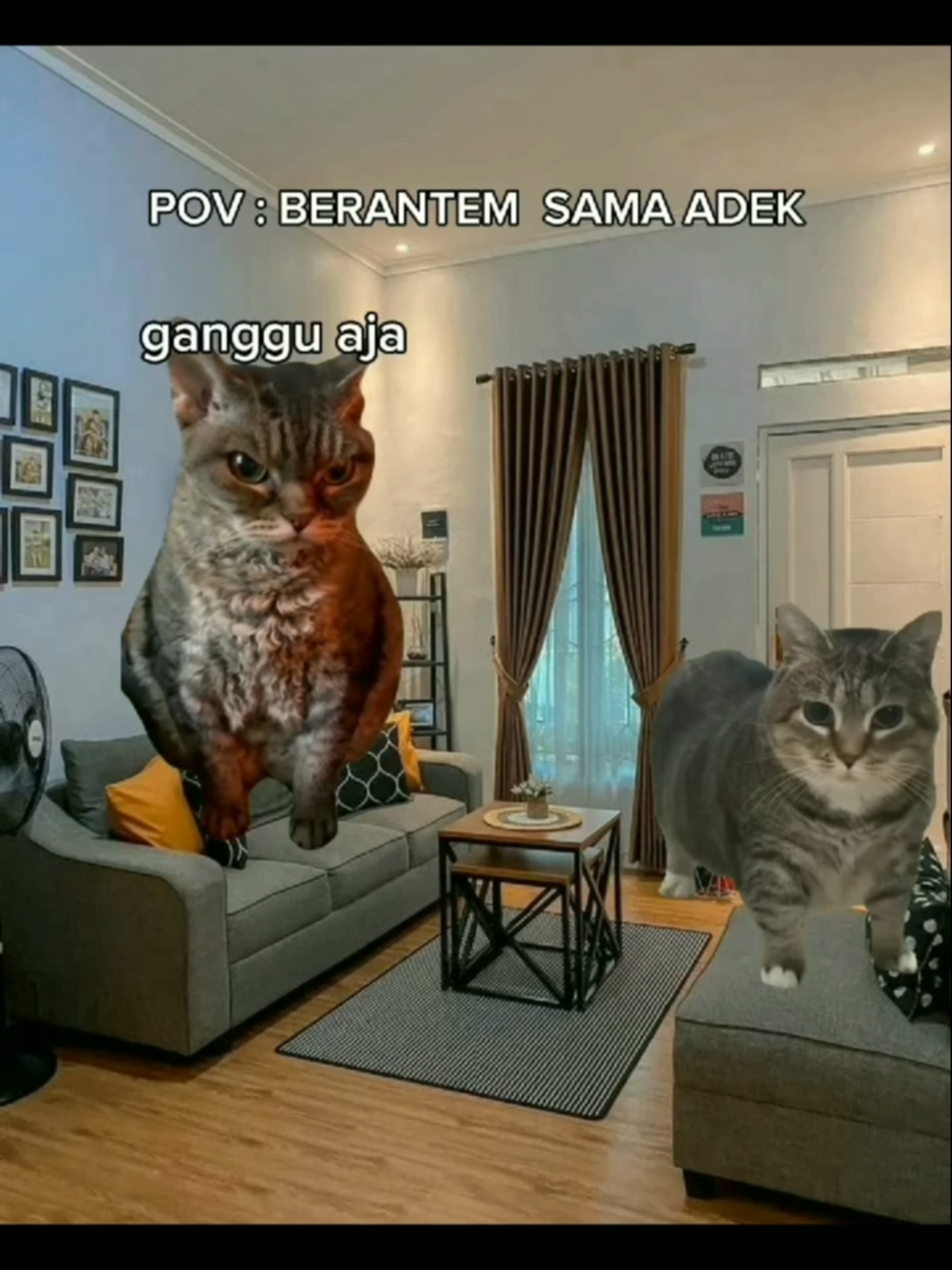 #TagORANGNYA #subscribeINFODANI.tv #fyp #foryou #funny #foryoupage #INFODANI.TV #videolucu #infodanitv