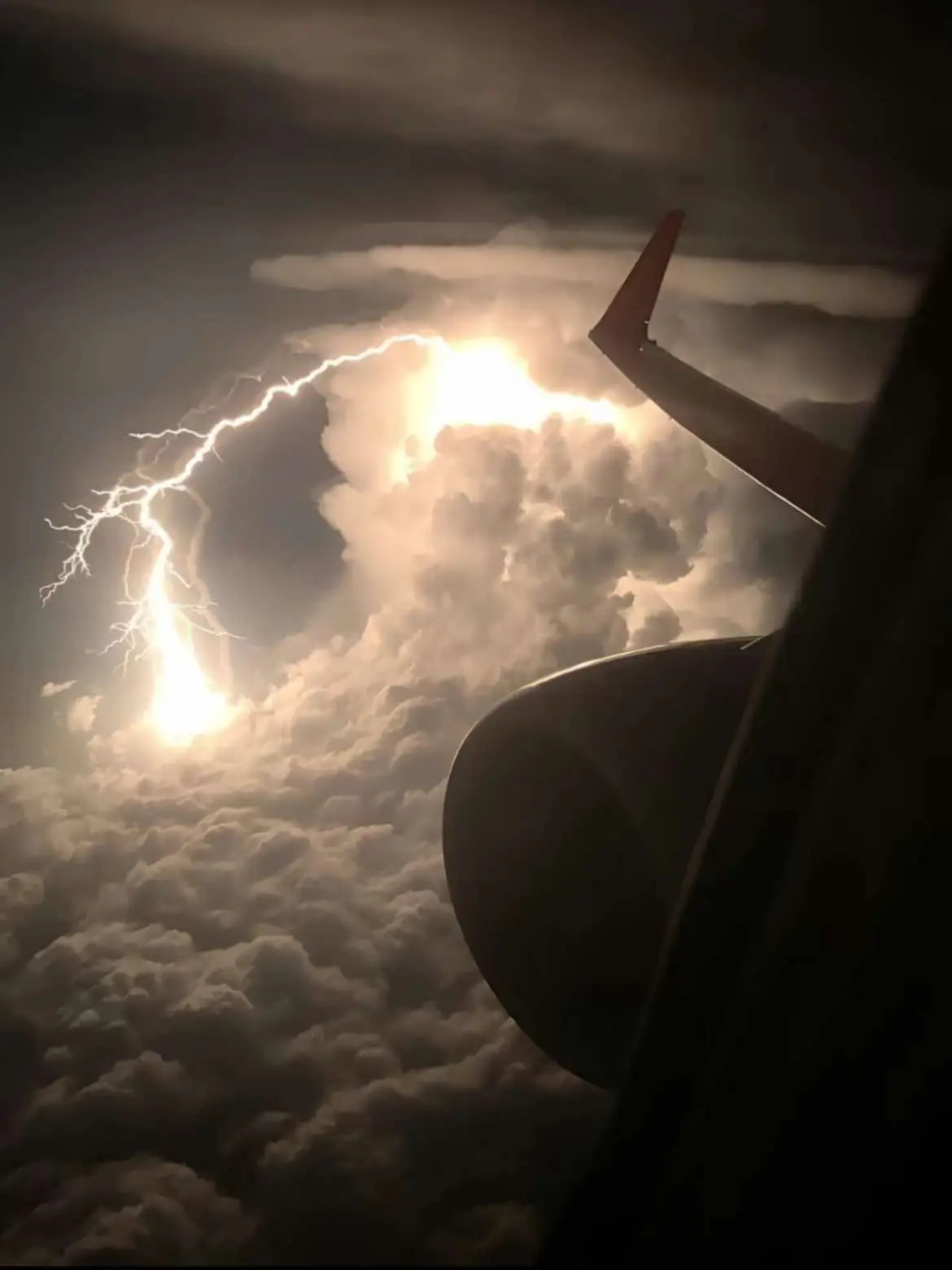 Perfectly timed photos