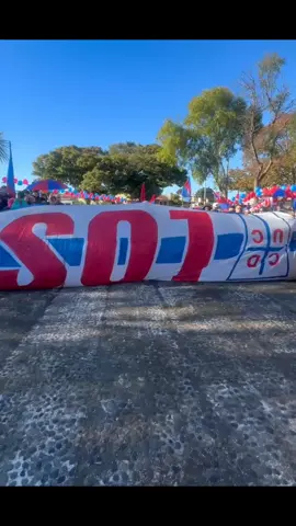 FUERZA A LA BANDA  #losdeabajooficial #losdeabajos🔴🔵 #LOSDEABAJO #pypシ #udechile🔵🔴 #losdeabajooficial #udechileoficial 
