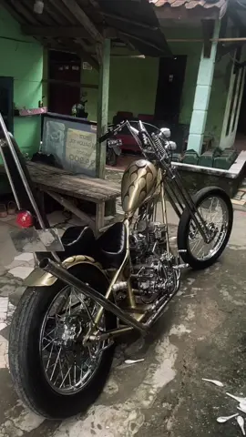 udah mandi tinggal dibedakin #chopper #chopperonepiece #chopperonepiece #scorpio225cc 