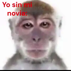 te extraño mpinga #amor #novios #sinminovia