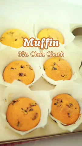 Cách làm bánh muffin mềm xốp sữa chua vị chanh cực đơn giản nguyên liệu nhà nào cũng có @Ryroti  #rybaking #hoclambanh #lambanhtainha #congthuc #muffin 