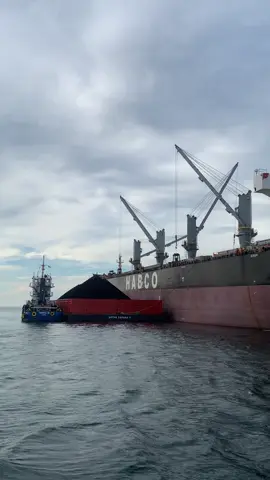 Mv.HABCO VELA🔥#pesonalaut#kapalbatubara#tongkangbatubara#lodingbatubara#xbcyza#fyp 