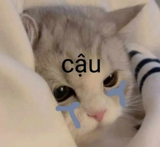 nhoá 