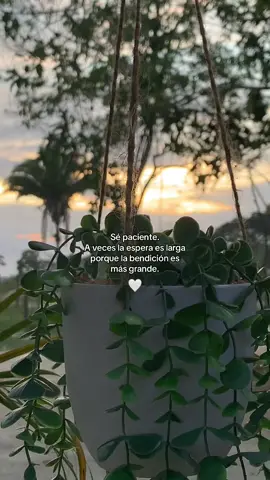 🤍🙌🏻 #virał #paratii #fypシ゚ #foryoupage #davmo #guatemala🇬🇹 #motivacionpersonal #motivacion #jovenescristianos #hijodeDios #2025 