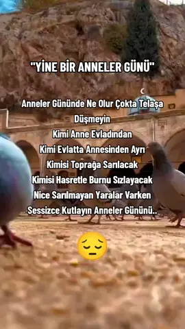 Lütfen Usulca Kutlayın Anneler Gününüzü.. 😌 #annelergünükutluolsun #kesfetiktoköneçıkar 