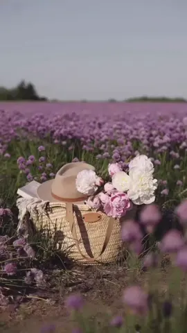 #morning #amzaing  #صباحيات  #صباح_الخير #طمأنينة #كلمات_من_القلب 