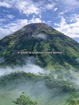 🧠:rxking rxking rxking #rxking #rxking135cc #twostroke #twostroke #blayer135cc #rxkingnusantara #2takmenolakpunah #impianku #fyppp 