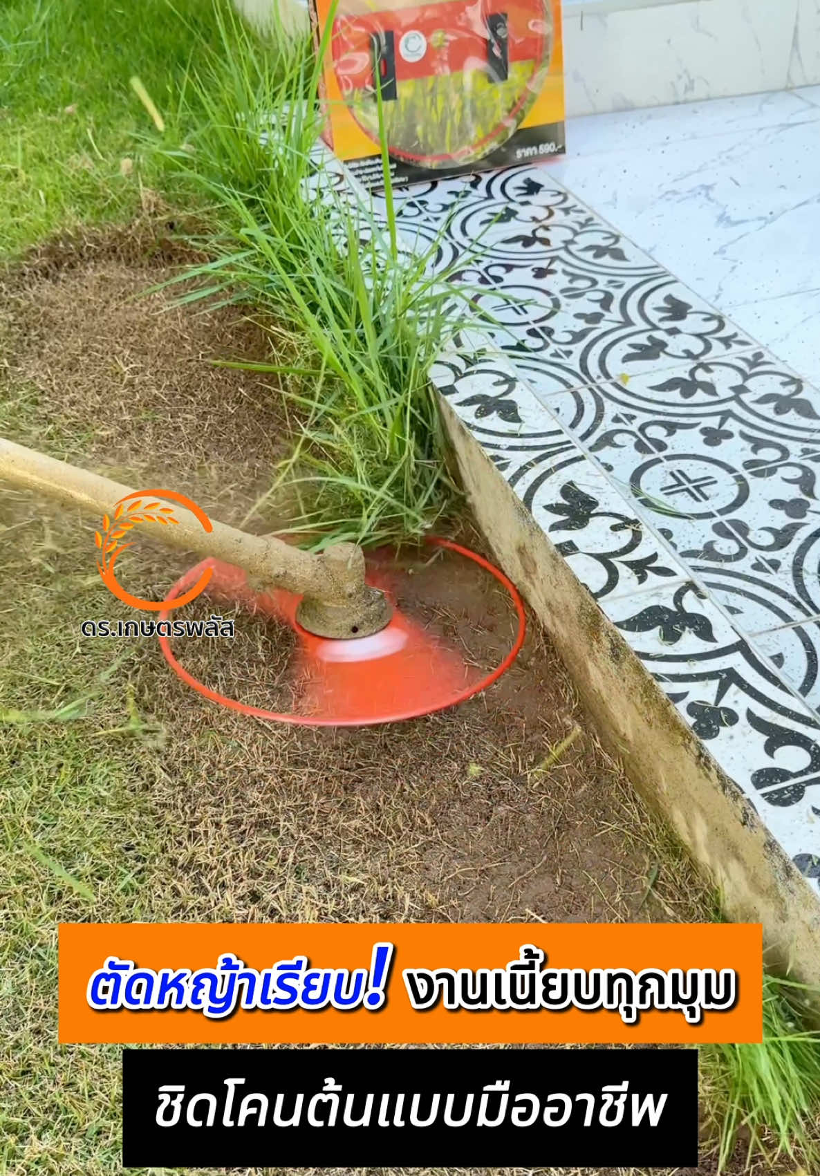 ด่วน! 100 ชุดสุดท้าย / เก็บเงินปลายทาง #เครื่องตัดหญ้า #สารกําจัดวัชพืช #ยาฆ่าหญ้า #ใบตัดหญ้า #ใบตัดหญ้าวัว #เทรนด์วันนี้ 