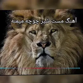 #creatorsearchinsights  Afghan music🇦🇫❤️ @Afghanistan🇦🇫❤️#fyp #foruyou # viral_video 