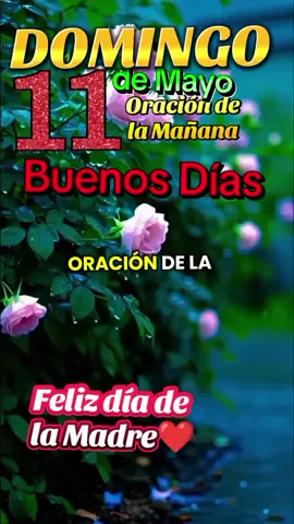 Feliz día de la madre❣️  #buenos días #bendiciones #para todos #amen#LIVEIncentiveProgram #LIVEInteraction #PaidPartnership 