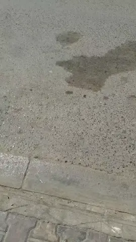 #شعب_الصيني_ماله_حل😂😂 #bab_el_oued 