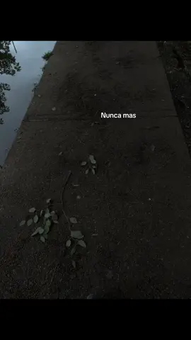 Nunca mas. #fyp #viralvideos #tiktokviral #xbyzca #paratiiiiiiiiiiiiiiiiiiiiiiiiiiiiiii #tiktok #video #pelaromero 